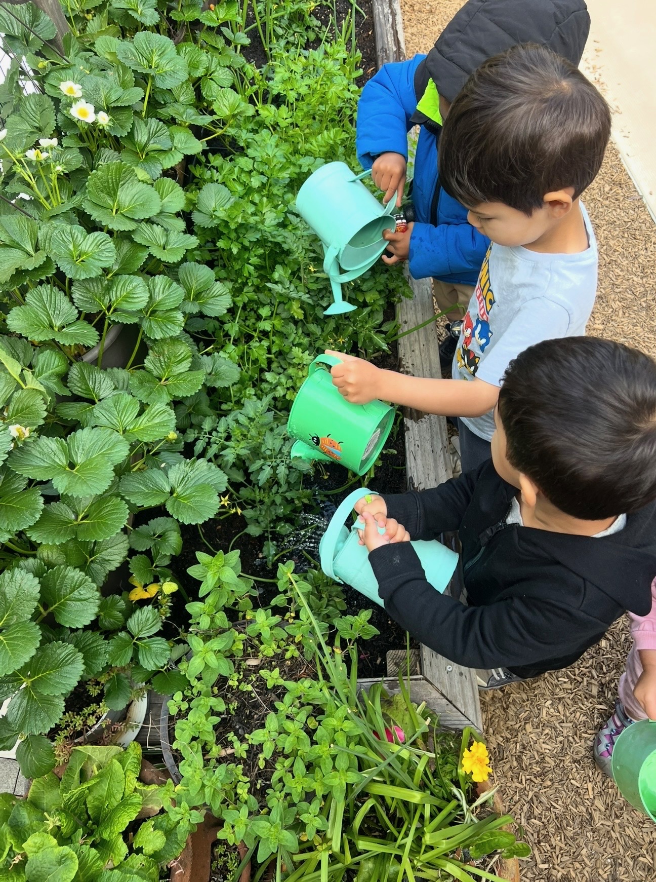A moment from daily life at Sunflower Garden Nursery School