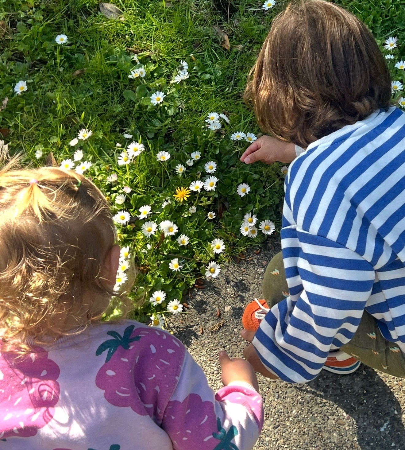 A moment from daily life at Sunflower Garden Nursery School