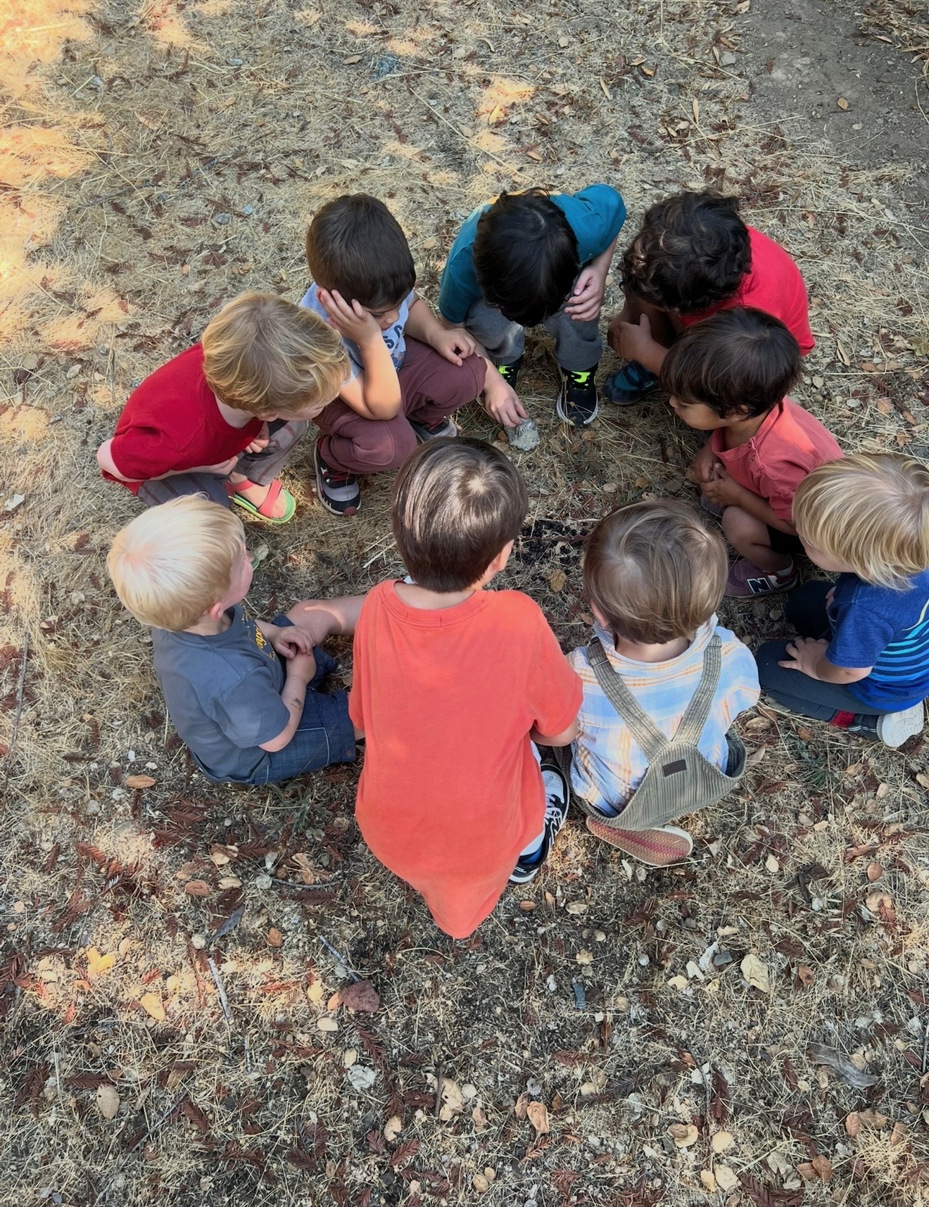 A moment from daily life at Sunflower Garden Nursery School