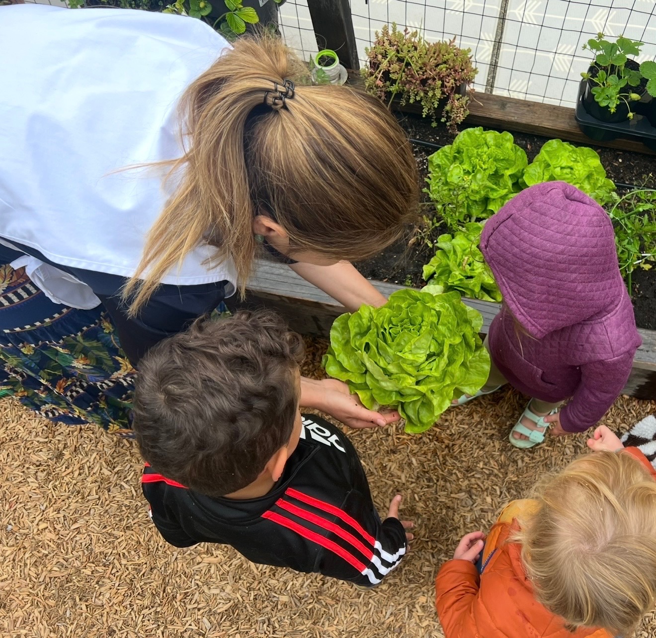 A moment from daily life at Sunflower Garden Nursery School