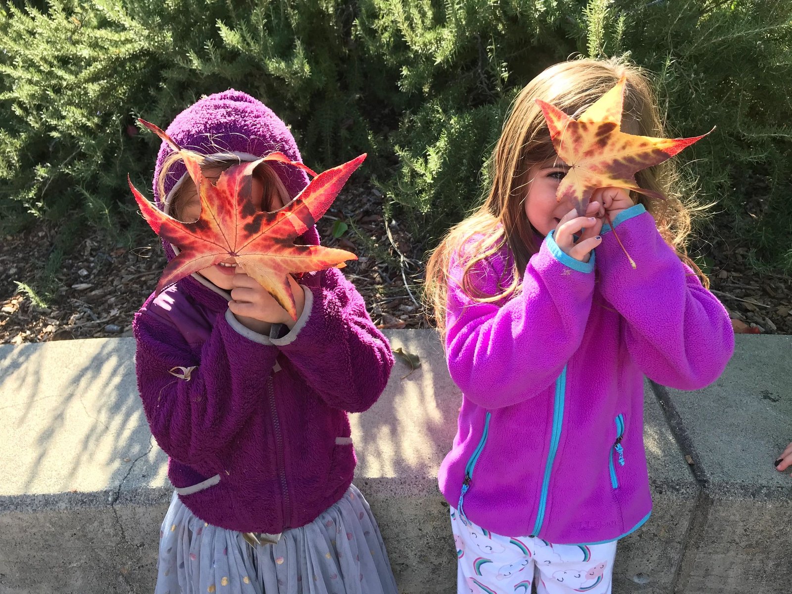 Two children holding colorful autumn leaves up to their faces