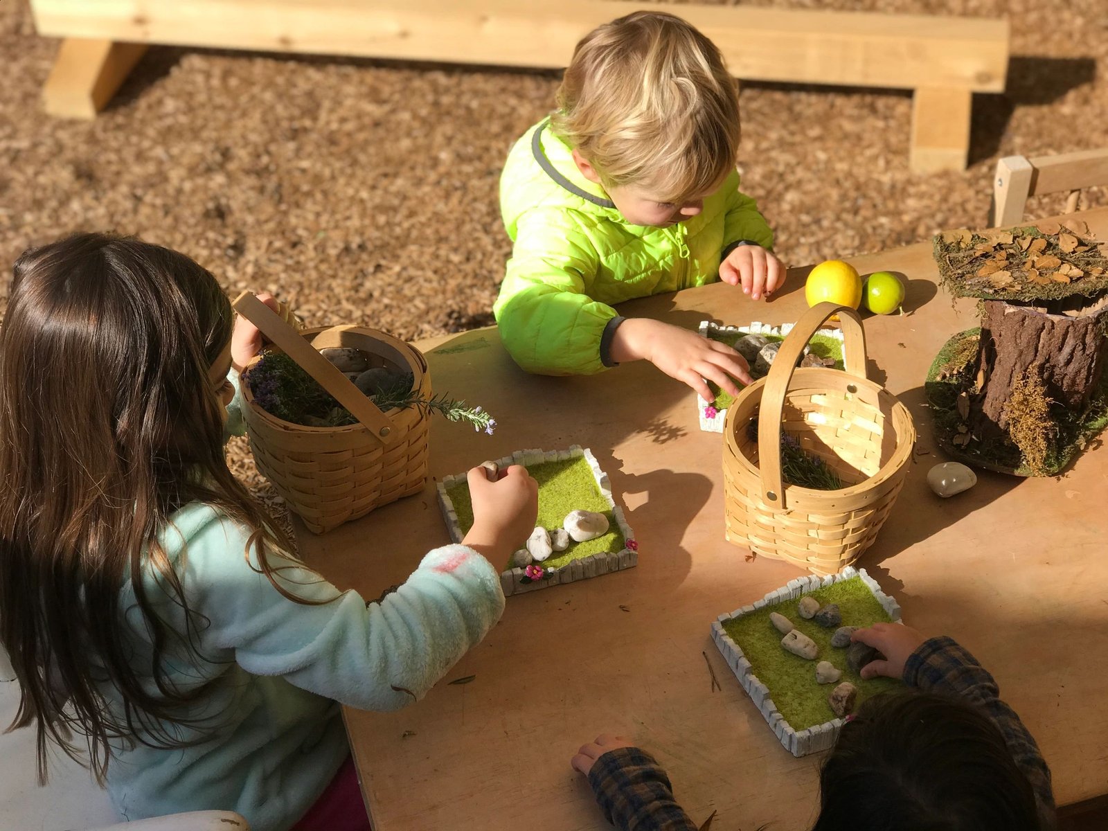 Children arranging little fairy-garden trays with moss and stones