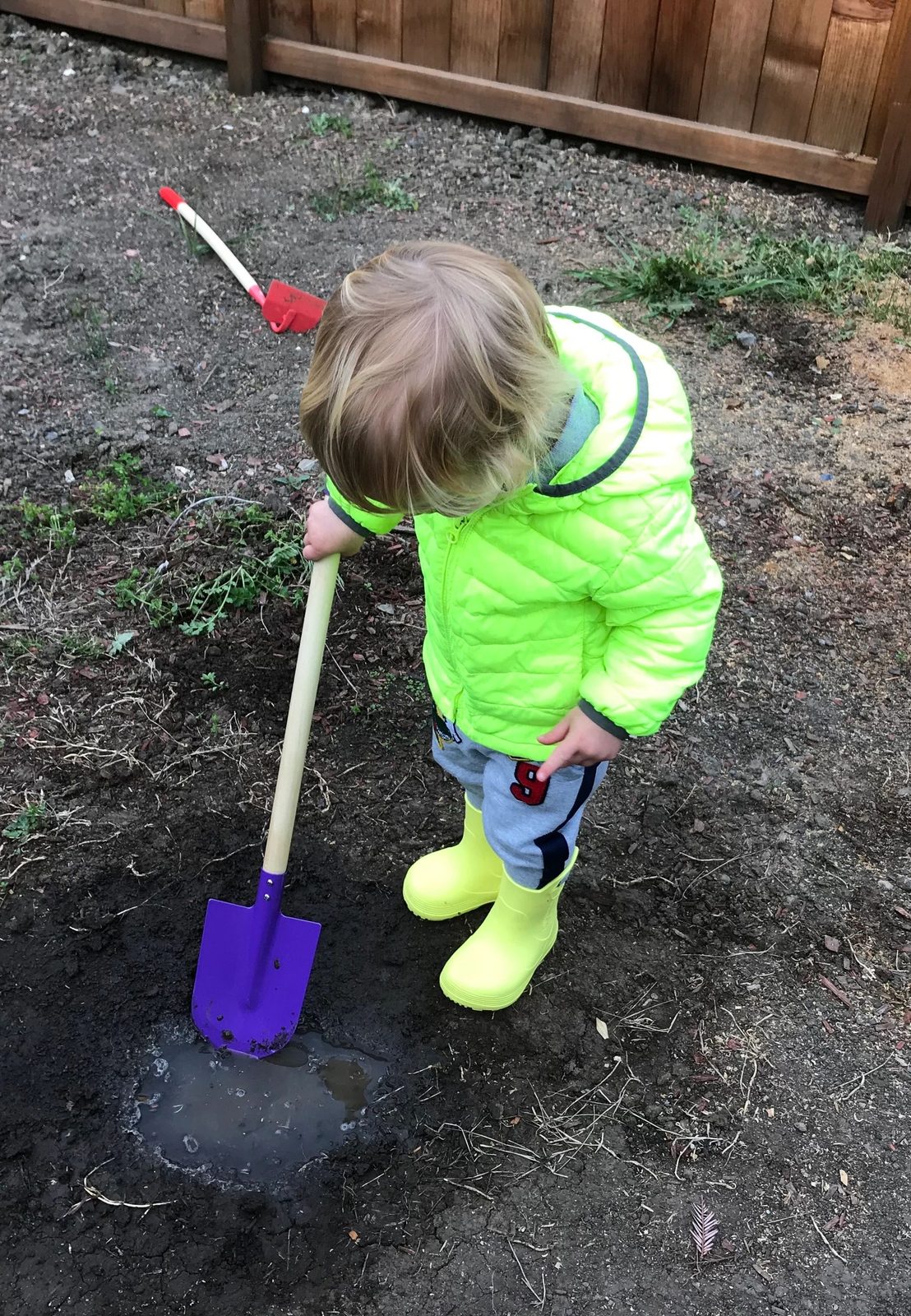 A child gardening with a small shovel