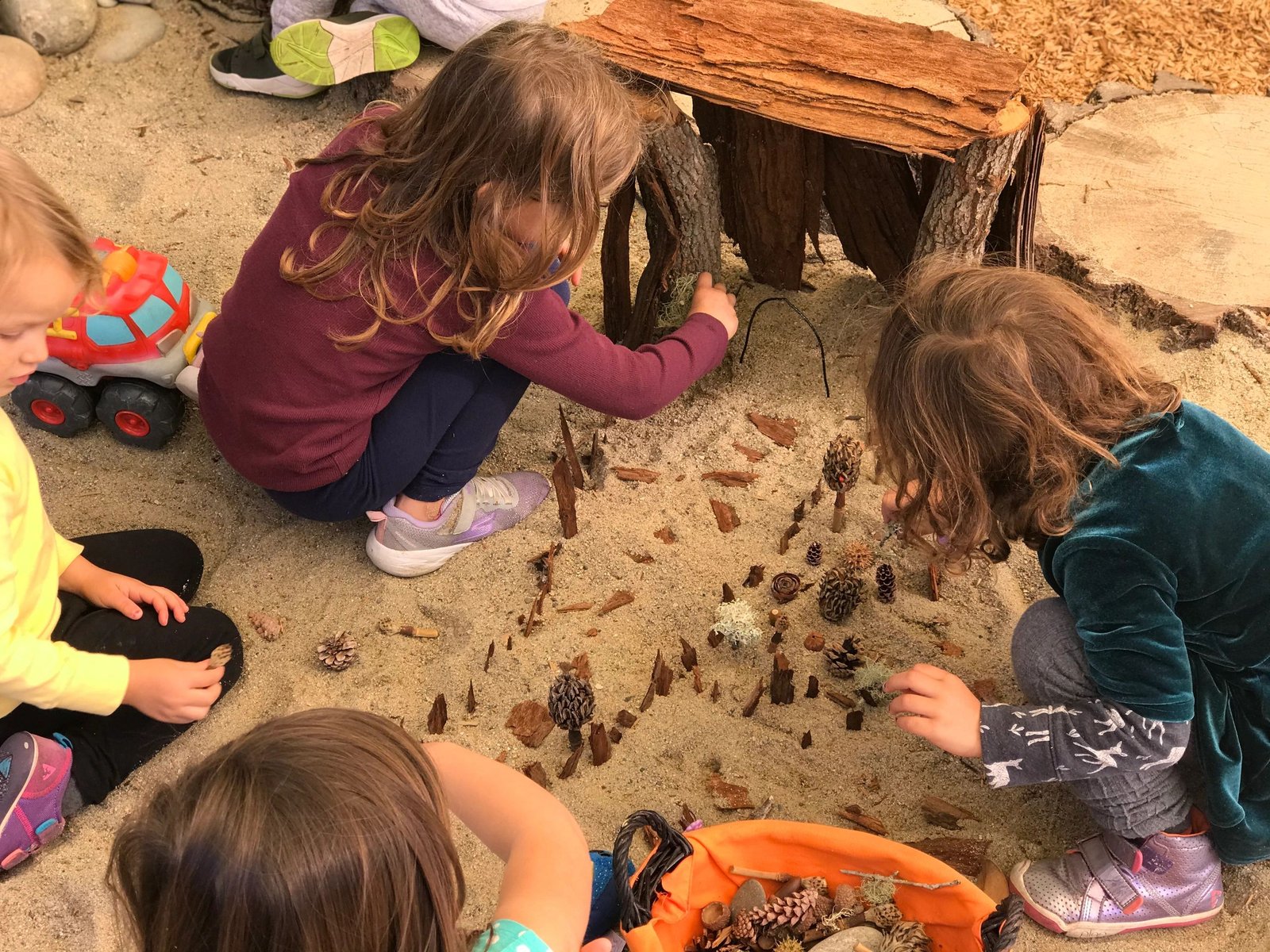 Children exploring pinecones and natural treasures on the ground