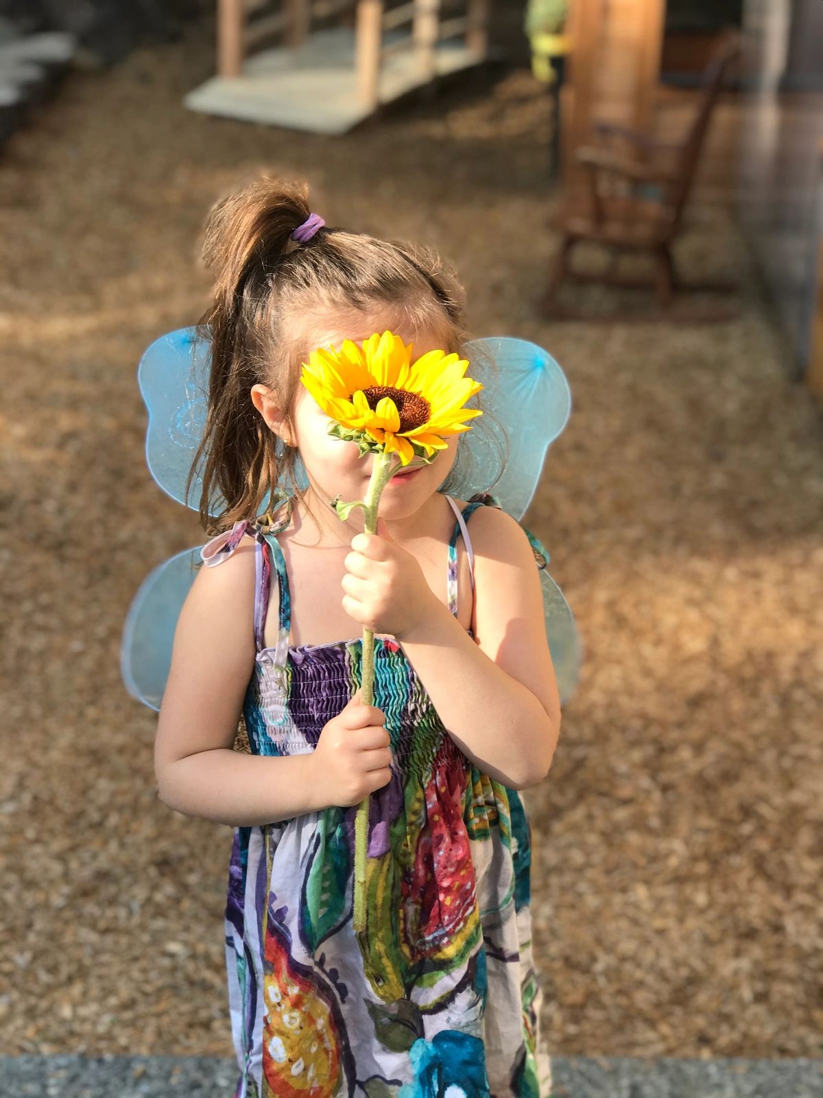 A child dressed up with fairy wings and a sunflower